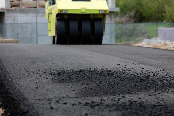 Best Driveway Pavers for Homes  in South Sarasota, FL