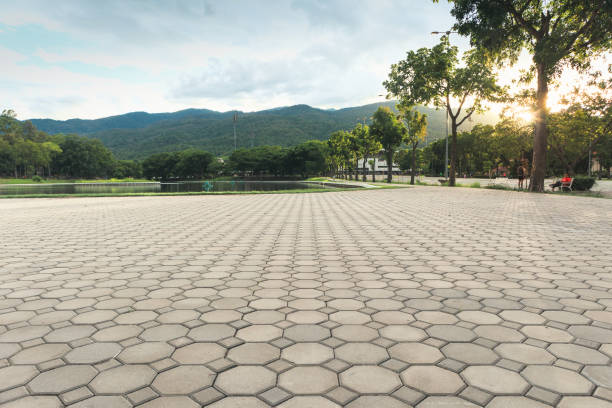 Best Paver Driveway Replacement  in South Sarasota, FL
